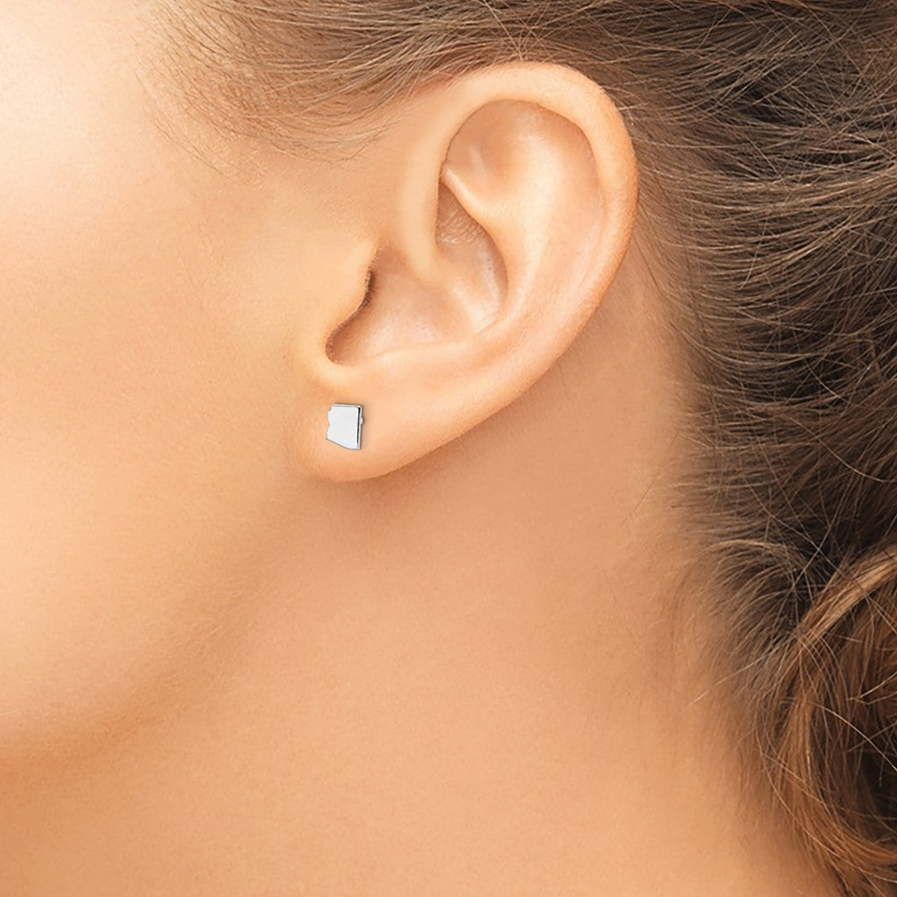 14KW Arizona State Earrings