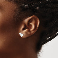 14KW South Carolina State Earrings
