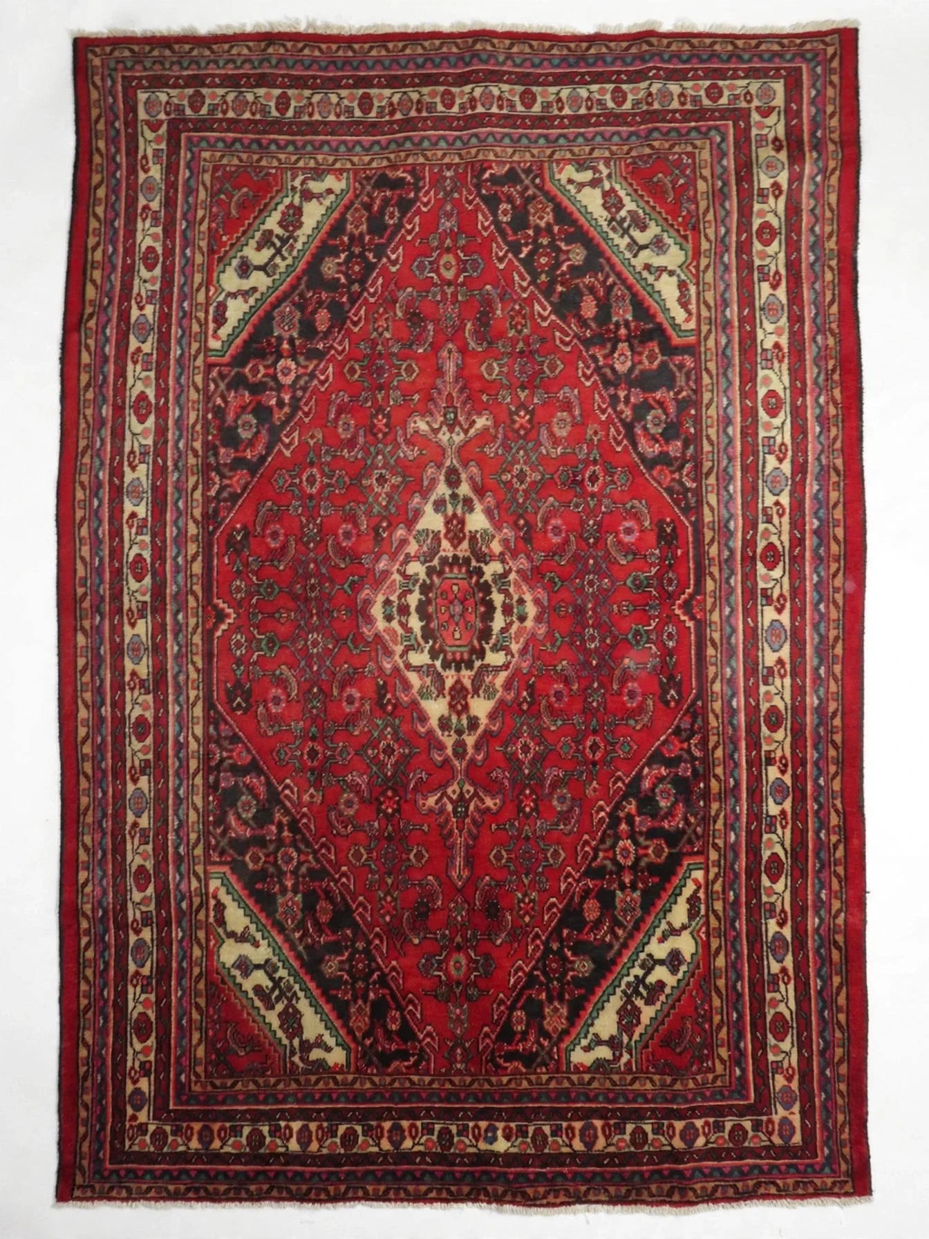 Hand Knotted Persian Vintage Rug, Traditional Wool Area Rug, 10 ft 2 in x 6 ft 6 in, cleaned flat view