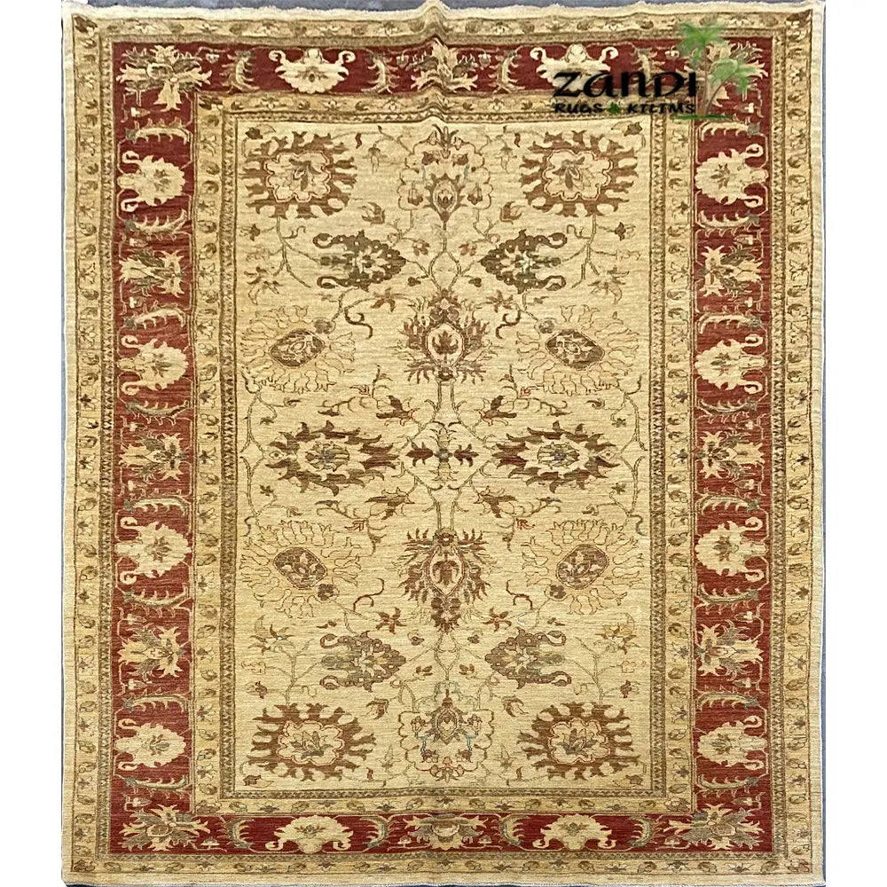 One Of The Kind Afghani Khotan Rug 6'8" x 11'0" zandirugs