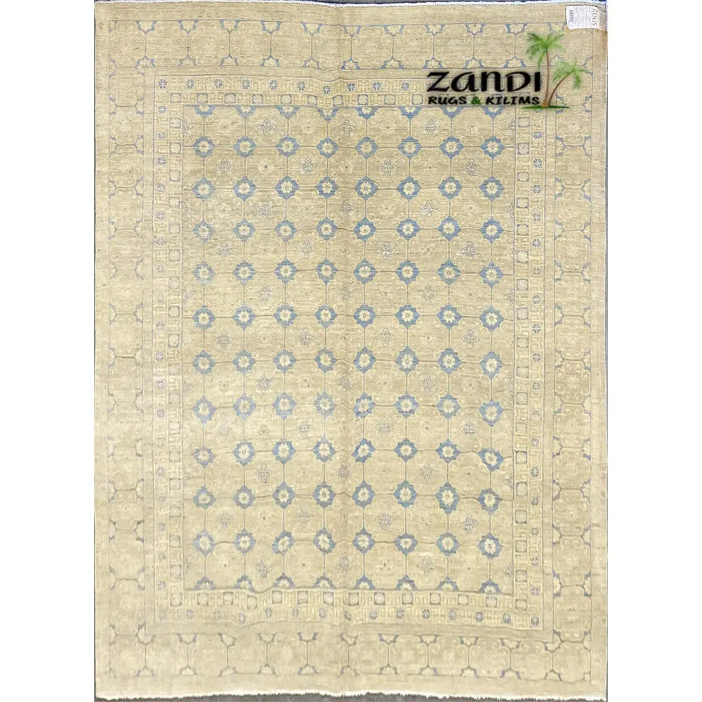 One Of The Kind Afghani Khotan Rug 9'9" x 6'7" zandirugs